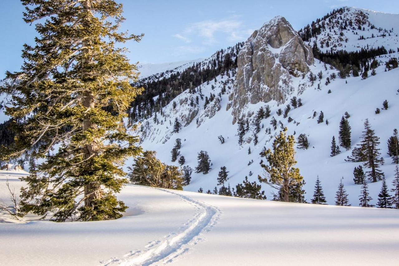 Crestview Villa Mammoth Lakes Eksteriør bilde