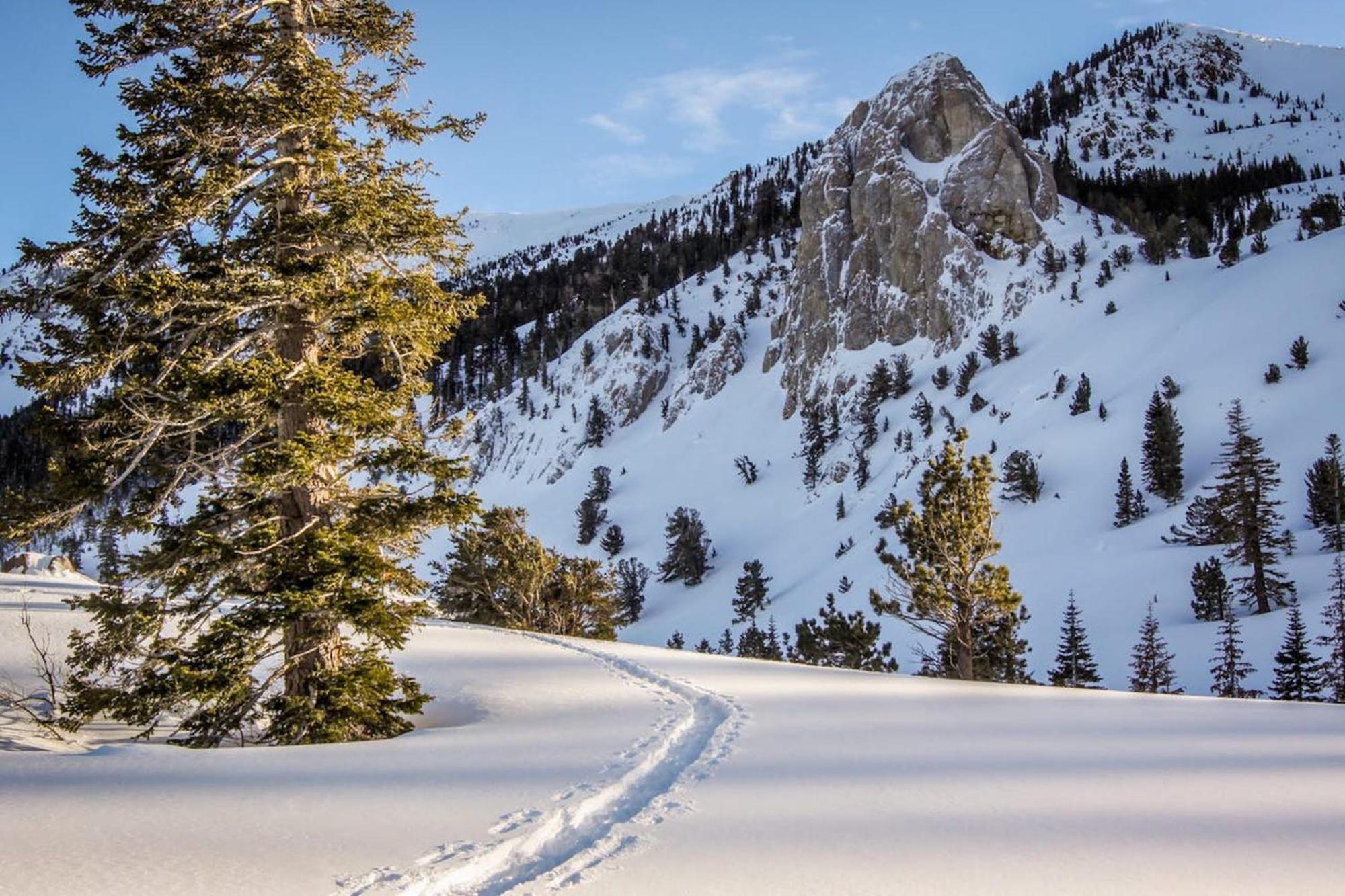 Crestview Villa Mammoth Lakes Rom bilde